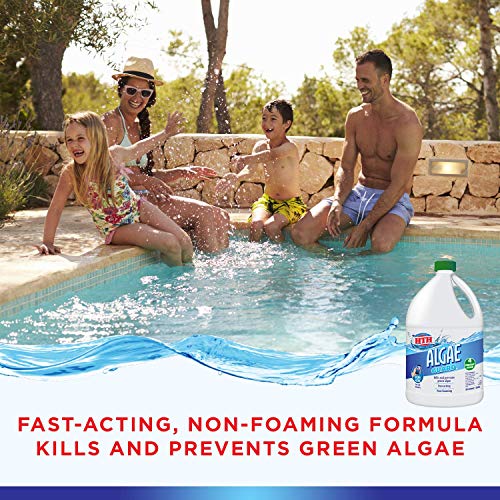 HTH 67034 Algae Guard Swimming Pool Algaecide Cleanser, 1 gal