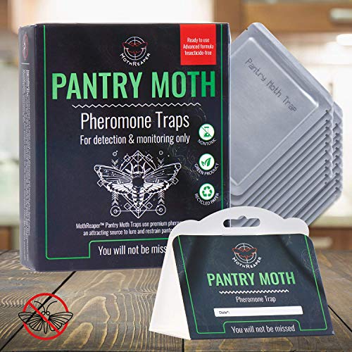 Premium Pantry Moth Traps, Insecticide-Free Moth Pheromone Traps, Glue Trap for Flour, Meal, and Seed Moths, Cupboard Moth Traps, Effective Pest and Moth Lure and Traps (20-Pack) (Dark, 20-Pack)