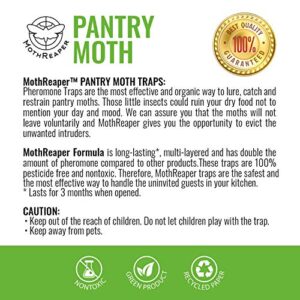 Premium Pantry Moth Traps, Insecticide-Free Moth Pheromone Traps, Glue Trap for Flour, Meal, and Seed Moths, Cupboard Moth Traps, Effective Pest and Moth Lure and Traps (20-Pack) (Dark, 20-Pack)