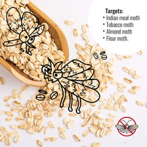 Premium Pantry Moth Traps, Insecticide-Free Moth Pheromone Traps, Glue Trap for Flour, Meal, and Seed Moths, Cupboard Moth Traps, Effective Pest and Moth Lure and Traps (20-Pack) (Dark, 20-Pack)