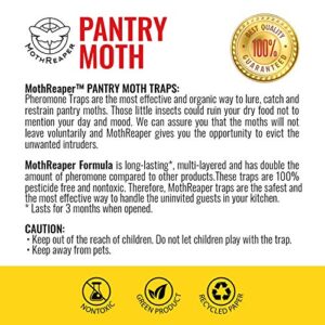 Kitchen Pantry Moth Traps - Prime Pantry Moth Traps with pheromones, Pet Safe Pantry Moth Trap, Food Moth Traps with pheromones 6 Pack