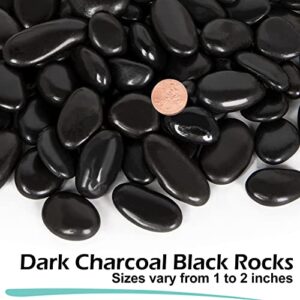 GASPRO 8lb Black River Rocks for Plants, Vases, 1 to 2 Inch Decorative Pebbles for Pots Indoor, High Polished