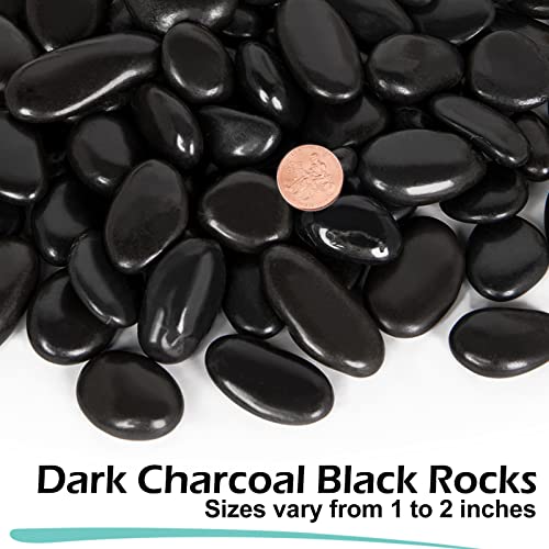 GASPRO 8lb Black River Rocks for Plants, Vases, 1 to 2 Inch Decorative Pebbles for Pots Indoor, High Polished