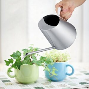 Watering Can Indoor Plants 1500ml/53oz Stainless Steel Watering Can Watering Can Brushed Garden Planting for House Bonsai and Flowers