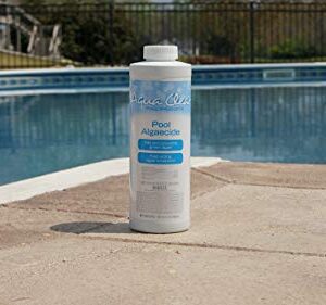 Aqua Clear Pool Products Algaecide 32 oz.