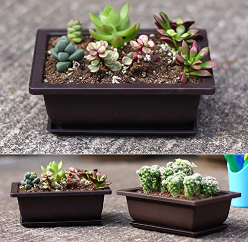 Yesland 24 Pcs Bonsai Training Pots of 6-1/2 Inch - Classic Deep Humidity Trays with Built in Mesh - Plastic Square Pot for Plants, Flowers, Herbs, African Violets & Seed Nursery