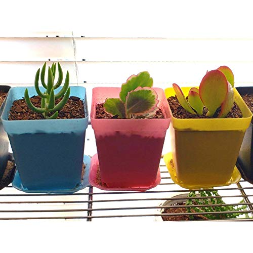 Hedume 70 Pack Mini Plastic Flower Seedling Nursery Pot with Pallet, 3" Colorful Square Plant Pot, Indoor Outdoor Flower Plant Container, Decor for Room, Garden, Office and Balcony (7 Colors)