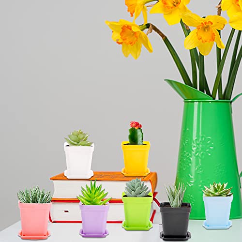 Hedume 70 Pack Mini Plastic Flower Seedling Nursery Pot with Pallet, 3" Colorful Square Plant Pot, Indoor Outdoor Flower Plant Container, Decor for Room, Garden, Office and Balcony (7 Colors)