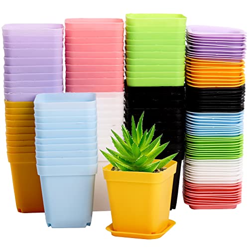 Hedume 70 Pack Mini Plastic Flower Seedling Nursery Pot with Pallet, 3" Colorful Square Plant Pot, Indoor Outdoor Flower Plant Container, Decor for Room, Garden, Office and Balcony (7 Colors)