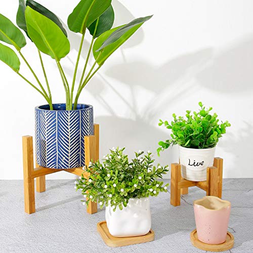 CHDHALTD Mid Plant Stand Durable Wood Planter Pot Trays Flower Pot Holder Strong Free Standing Bonsai Holder Home Garden Indoor Display Plant Stand Shelf