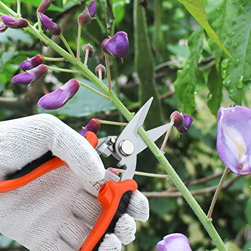 Yeemoutylo Bypass Pruning Shears, Garden Pruning Shears 3 Pack Bonsai Tree Hand Pruning Shears Garden Trimmer Scissors Kit