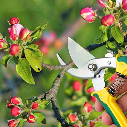 Yeemoutylo Bypass Pruning Shears, Garden Pruning Shears 3 Pack Bonsai Tree Hand Pruning Shears Garden Trimmer Scissors Kit