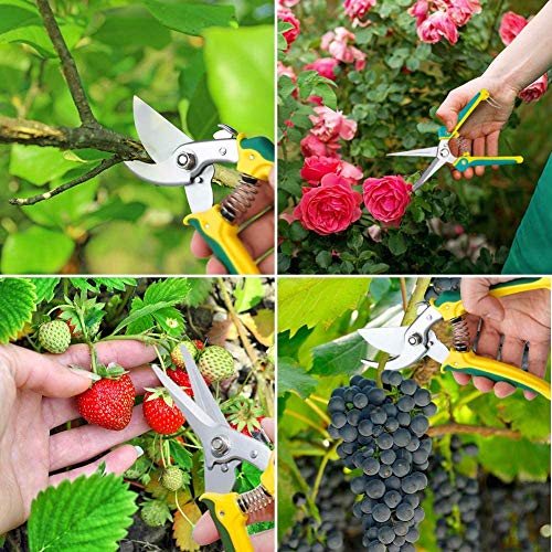 Yeemoutylo Bypass Pruning Shears, Garden Pruning Shears 3 Pack Bonsai Tree Hand Pruning Shears Garden Trimmer Scissors Kit