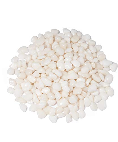 GASPRO 10 lbs White Pebbles for Plants, Vases, and Landscaping in Garden - Highly Polished 3/8" Small Rocks for Indoor and Outdoor Decor