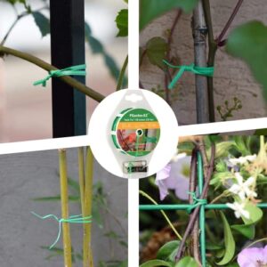 Twist Ties - 328ft Plant Ties PE-Coated Garden Ties with Cutter for Gardening Tomatoes Vines and Office Home Cable Organizing (1Reel/Green)…