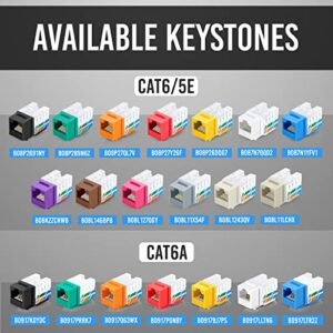 Everest Media Solutions easyJACK - 90° Angled Speed Termination Tool - with 10 Blue & 10 White Cat6 Keystone Jacks - Additional Jacks are Available - (B087N7QQD2)