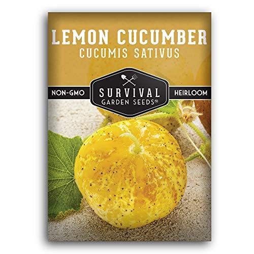 1 Pack Lemon Cucumber Seed for Planting - Packet with Instructions to Grow Little Yellow Cucumbers in Your Home Vegetable Garden - Non-GMO Heirloom Variety - Survival Garden Seeds