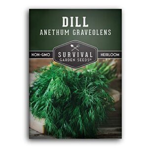 survival garden seeds - dill seed for planting - packet with instructions to plant and grow popular pickling herbs in your home vegetable and herb garden - non-gmo heirloom variety - 1 pack