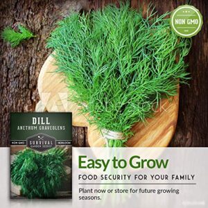 Survival Garden Seeds - Dill Seed for Planting - Packet with Instructions to Plant and Grow Popular Pickling Herbs in Your Home Vegetable and Herb Garden - Non-GMO Heirloom Variety - 1 Pack