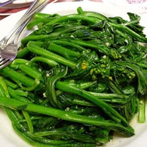 1000Pcs Choy Sum Yu Choy Chinese Flowering Cabbage Seeds