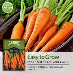 Survival Garden Seeds - Little Fingers Carrot Seed for Planting - Packet with Instructions to Plant and Grow Delicious Baby Carrots in Your Home Vegetable Garden - Non-GMO Heirloom Variety - 1 Pack