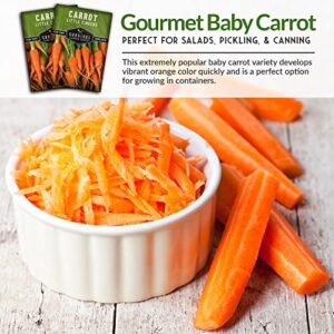 Survival Garden Seeds - Little Fingers Carrot Seed for Planting - Packet with Instructions to Plant and Grow Delicious Baby Carrots in Your Home Vegetable Garden - Non-GMO Heirloom Variety - 1 Pack
