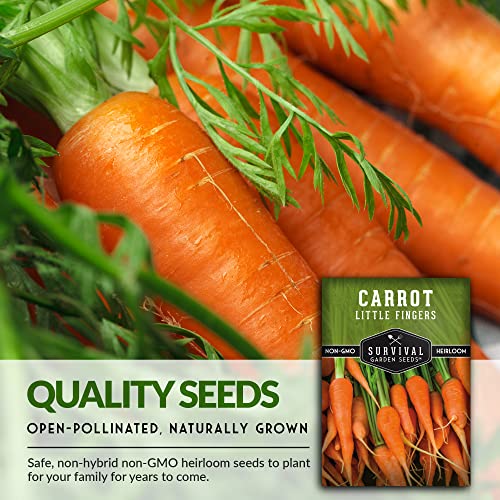 Survival Garden Seeds - Little Fingers Carrot Seed for Planting - Packet with Instructions to Plant and Grow Delicious Baby Carrots in Your Home Vegetable Garden - Non-GMO Heirloom Variety - 1 Pack