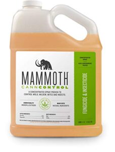 mammoth canncontrol concentrated insecticide spray for indoor and ourdoor plants (1 gallon)