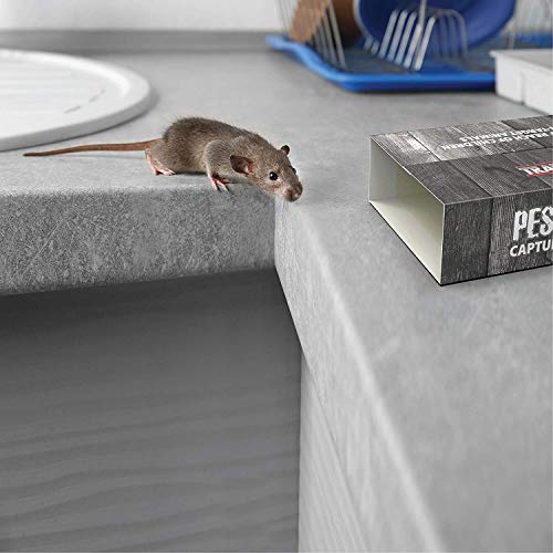 Sticky Mouse Traps Indoor for Home Ant Traps Indoor - Sticky Trap Indoor Home Bug Catcher Mice Traps for House Indoor Glue Traps Roach Trap Spider Traps for Inside Your Home (12 Traps)