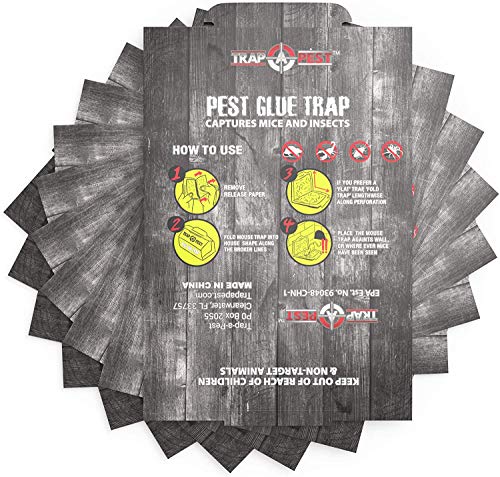 Sticky Mouse Traps Indoor for Home Ant Traps Indoor - Sticky Trap Indoor Home Bug Catcher Mice Traps for House Indoor Glue Traps Roach Trap Spider Traps for Inside Your Home (12 Traps)