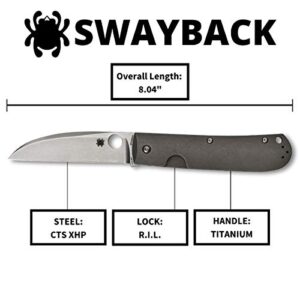 Spyderco SwayBack Premium Knife with 3.53" CTS XHP Stainless Steel with Durable Titanium Handle - PlainEdge - C249TIP