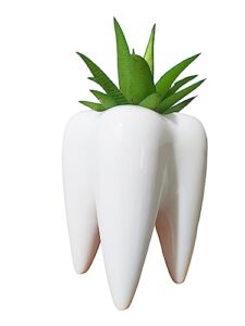 3.93 inches tall tooth shaped ceramic succulent cactus vase flower pot (plants not included)