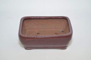 bonsai ceramic pot 6" rectangle shape, burgundy color with draining holes.