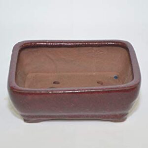 Bonsai Ceramic Pot 6" Rectangle Shape, Burgundy Color with draining Holes.