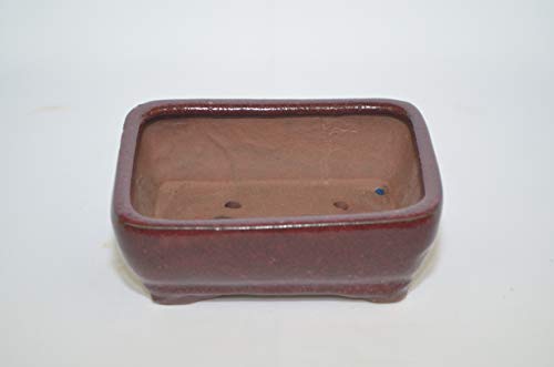 Bonsai Ceramic Pot 6" Rectangle Shape, Burgundy Color with draining Holes.