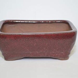 Bonsai Ceramic Pot 6" Rectangle Shape, Burgundy Color with draining Holes.