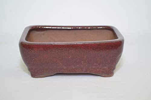 Bonsai Ceramic Pot 6" Rectangle Shape, Burgundy Color with draining Holes.