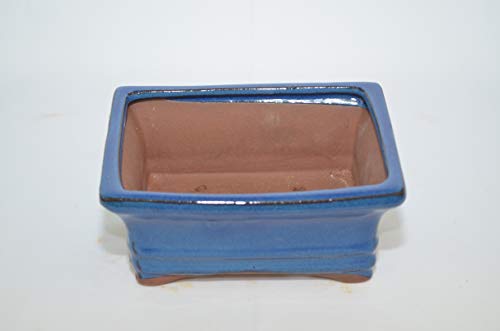 Bonsai Ceramic Pot 6" Blue Color, Rectangle Shape with draining Holes.