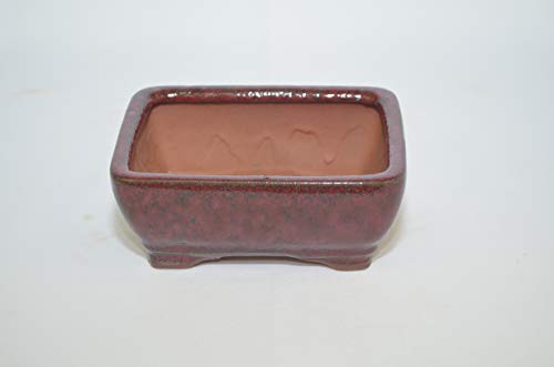 Bonsai Ceramic Pot 5" Burgundy Color, Rectangle Shape with draining Holes.