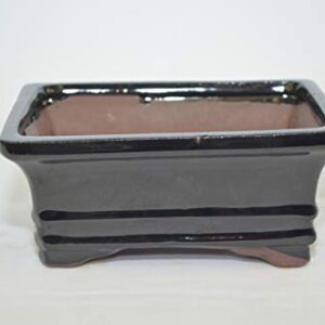 Bonsai Ceramic Pot 6" Rectangle Shape, Black Pot with draining Holes.