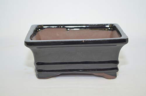 Bonsai Ceramic Pot 6" Rectangle Shape, Black Pot with draining Holes.