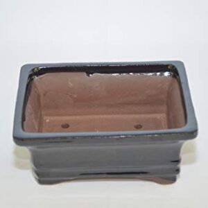 Bonsai Ceramic Pot 6" Rectangle Shape, Black Pot with draining Holes.