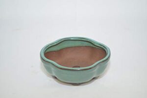 bonsai ceramic pot 5" lotus shape, green color with draining holes.