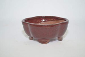 bonsai ceramic pot 5" lotus shape, burgundy color with draining holes.