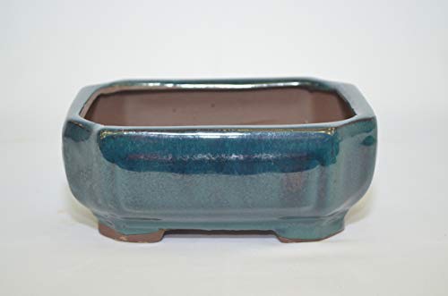 Bonsai Ceramic Pot 6" Teal Color, Hexagon Shape with draining Holes.