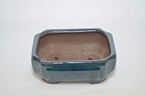 Bonsai Ceramic Pot 6" Teal Color, Hexagon Shape with draining Holes.