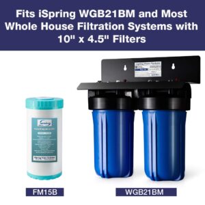 iSpring FM15B Iron and Manganese Reducing Replacement Filter Cartridge for Whole House Water Filtration System WGB21BM, 1 Count (Pack of 1), 10"x4.5" High Capacity