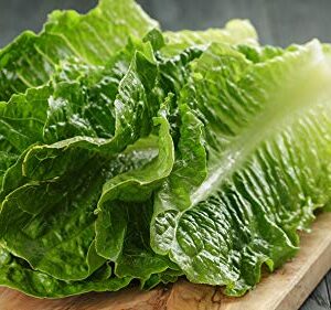 OldLadyRenee: 500+ Lettuce, Romaine-Parris Island Seeds