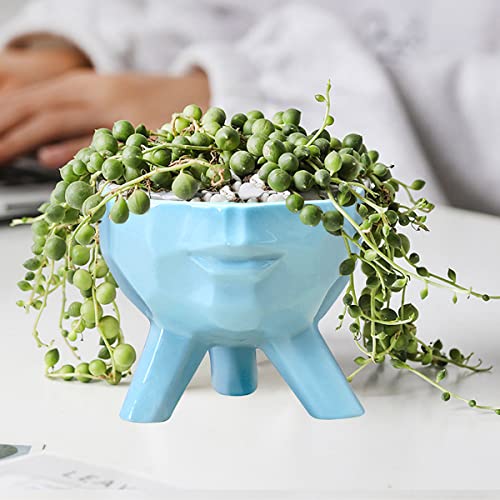 GeLive Ceramic Face Planter Head Plant Pot Modern Statue Artistic Flower Vase Succulent Bonsai Windowsill Box Urn for Home Decoration Indoor Outdoor (Large, Blue)