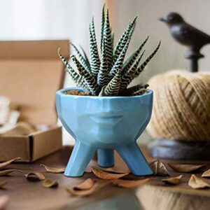 GeLive Ceramic Face Planter Head Plant Pot Modern Statue Artistic Flower Vase Succulent Bonsai Windowsill Box Urn for Home Decoration Indoor Outdoor (Large, Blue)